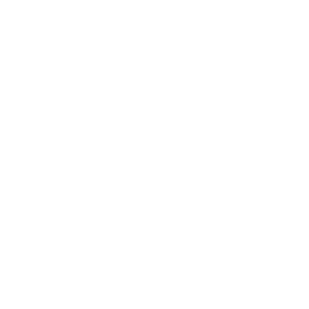 MOIRE 478
